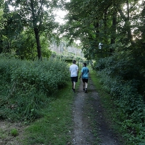 nach Drosendorf