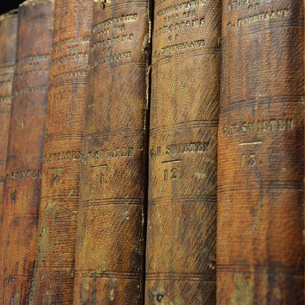 Bücher / © eliens/Pixabay.com/Pixabay License Bücher