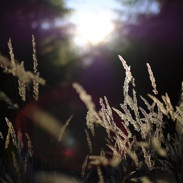 Image by Ralf Siebeck from Pixabay